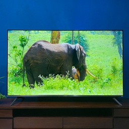 Review Xiaomi TV A Pro 2025 55 Inci, Serasa Punya Bioskop Pribadi di Rumah!