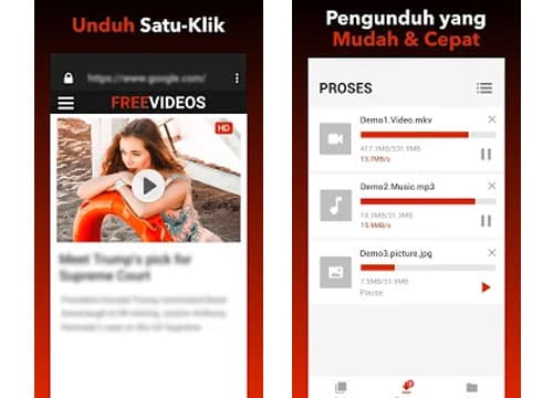 Free Video Downloader