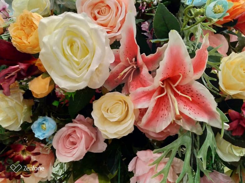 hasil foto zenfone live l2