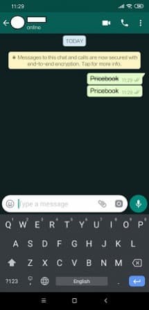 Mengubah Font WhatsApp Teks Tercoret
