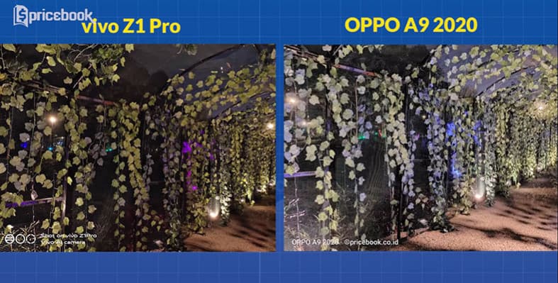 hasil foto vivo z1 pro vs oppo a9 2020
