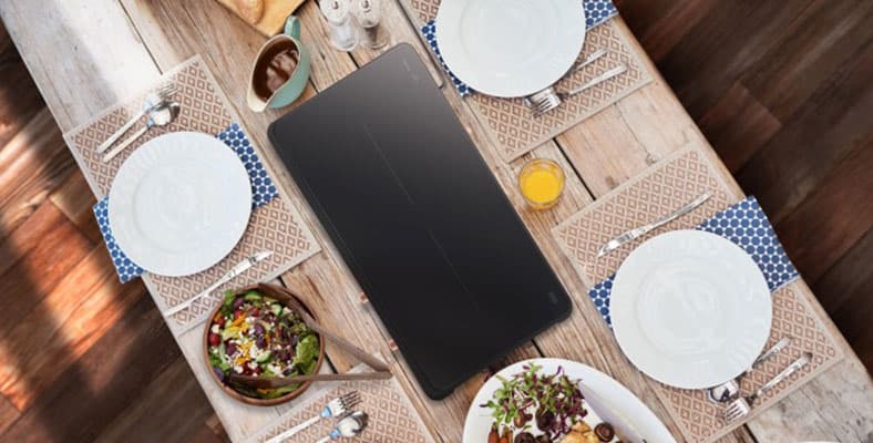 Portable Slim Double Induction