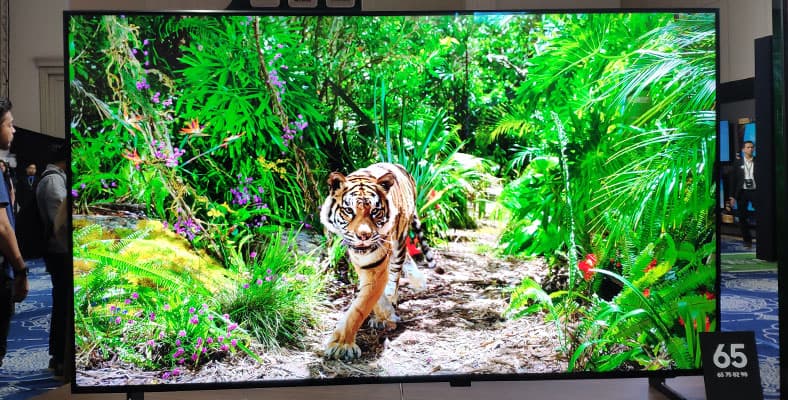 TV 8K