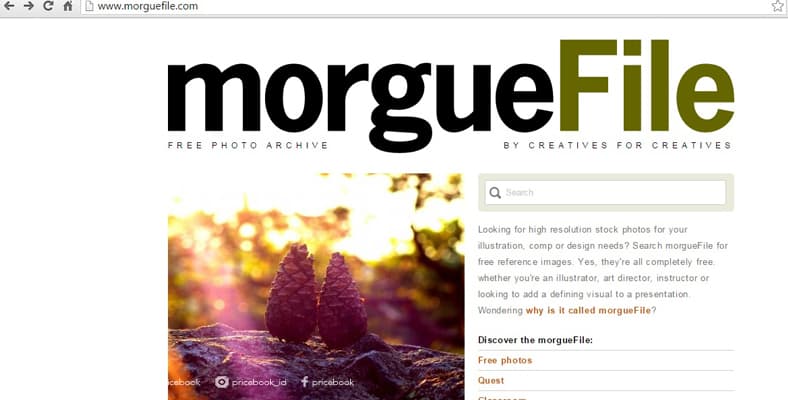 morguelife