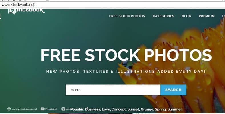stockvault
