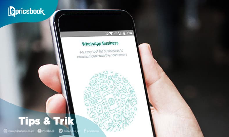 whatsapp bisnis