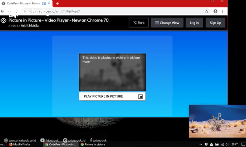 pip google extention