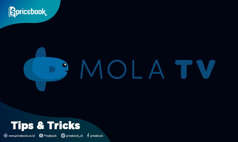 daftar harga paket mola tv