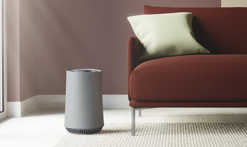 Air Purifier Electrolux