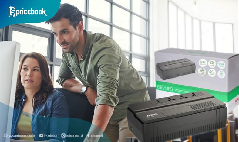 Review APC Easy UPS 1 Ph BV Series
