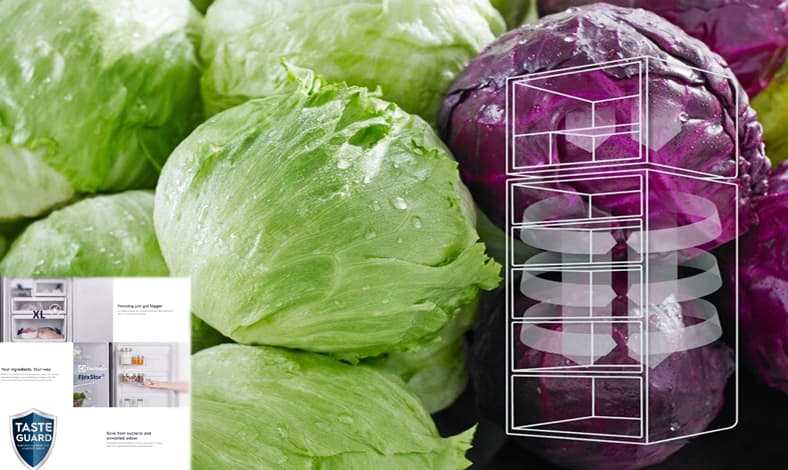 Kulkas Electrolux Terbaru Berteknologi TasteLockAuto dan TasteSeal