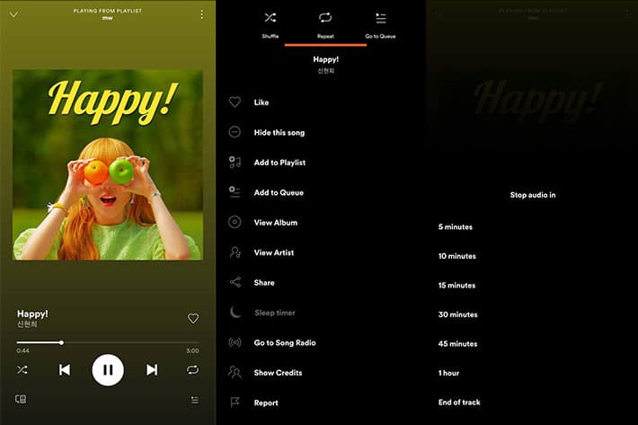 Fitur Sleep Timer Spotify