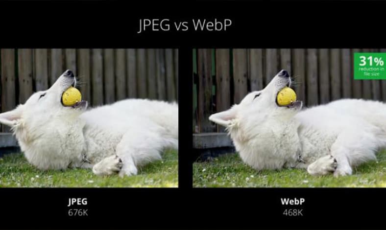 cara mengubah webp ke jpg