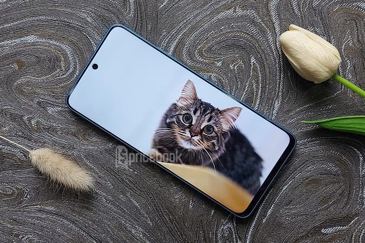 hp amoled