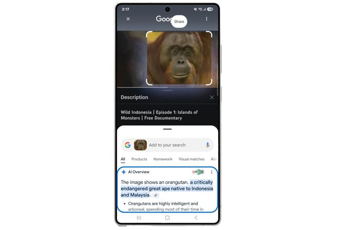 Advanced AI Overviews